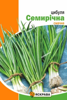 Насіння Яскрава Цибуля Батун Семірічний 5 г (59190)