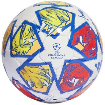 Мяч футзальный ADIDAS UCL Pro Sala IN9339