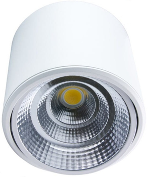 Reflektor DPM X-Line LED punktowy regulowany 20 W 2054 lm biały (STL-DL20W-W)