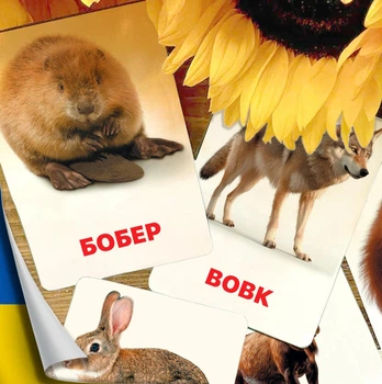 Карточки Домана ''Животные наших лесов'' на украинском языке, в наборе 16 карточек