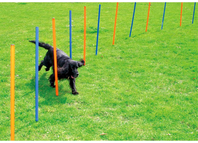 Zestaw do slalomu dla psów Pawise Agility Poles 60 cm Multicolour (8886467514319)