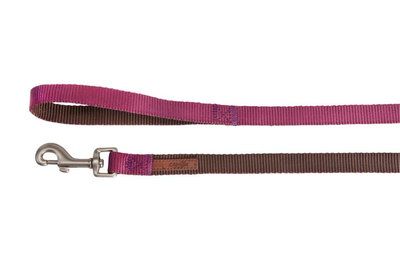 Повідець нейлоновий для собак Camon Bicolor Коричнево-фіолетовий 20 x 1200 мм (8019808204123)