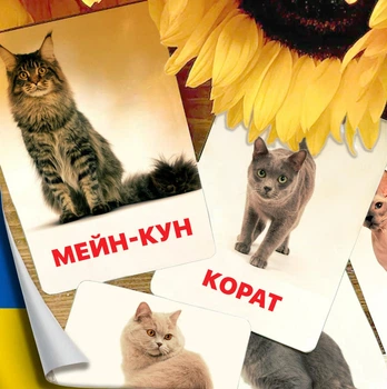Картки Домана ''Породи котів'' українською мовою, у наборі 32 карток