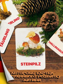 Картки Домана ''Гриби'' німецькою мовою, у наборі 15 карток