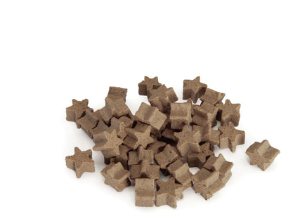 Ласощі для собак Camon Snackbox Cookies Star Pork Calcium 450 г (8019808208947)
