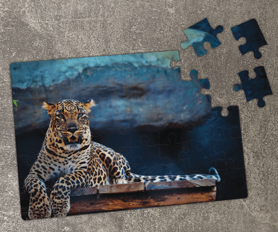 Пазл Леопард. Картон А4, 40