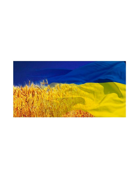 Шеврон патч " Флаг Украины Украинское поле " на липучке велкро