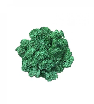 Мох ягель стабилизированный цвет Grass Green 78 - 15 г. (2336)