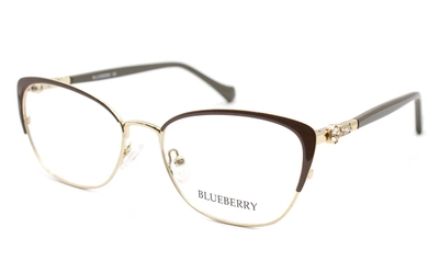Оправа для окулярів металева Blueberry 3830A-C2