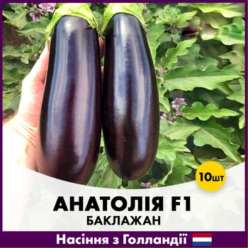 Голландське Насіння Rijk Zwaan Баклажан Анатолія F1 10 шт