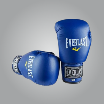 Боксерские перчатки Ever, DX-380, 10oz, синий (EVDX380-10B)
