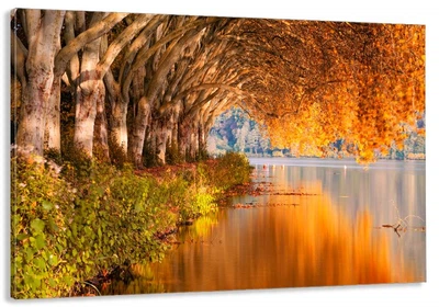 Картина на холсте в гостиную / спальню Природа MLP_69 (60х100 см)
