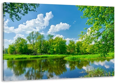 Картина на холсте в гостиную / спальню Природа MLP_87 (40х80 см)