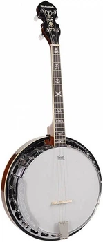 Банджо Richwood RMB-904-SS