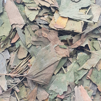 Гінкго білоба листя сушене 100 г