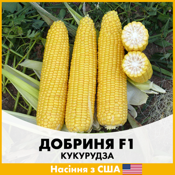 Кукурудза Lark Seeds Добриня F1 , 100 шт, Насіння з США