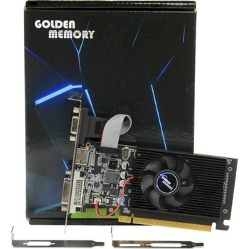 GOLDEN MEMORY GT610D32G64bit