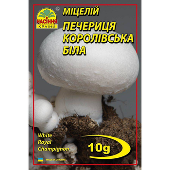 Свое дело с нуля на выращивании вешенки и других гирбов. • 2 страница