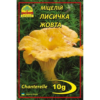 Міцелій грибів Лисичка жовта 10 г (Насіння країни)