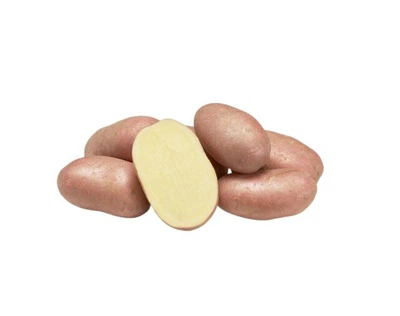 Насіннєва картопля Коразон (1 репродукція), 2.5кг, (Agrico)