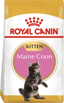 Сухой корм для котят Royal Canin Maine Coon Kitten для породы мейн-кун 2 кг (3182550816502) (2558020)