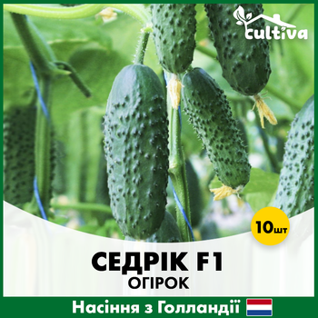 Огурец Седрик F1, 10 шт