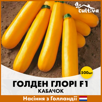 Голландские семена Syngenta Кабачок Голден Глори F1 500 шт