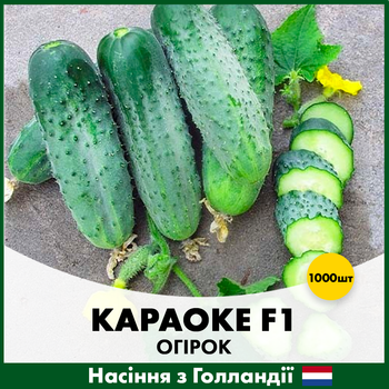 Голландские Семена Rijk Zwaan Огурец Караоке F1 1000 шт