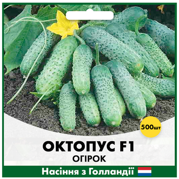 Голландське насіння Syngenta Огірок Октопус F1 500 шт