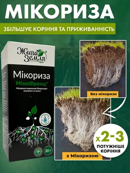 Микориза Жива Земля Микофренд 30 г – купить онлайн на ROZETKA