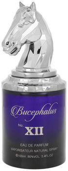 Woda perfumowana męska Armaf Bucephalus XII 100 ml (6294015159851)