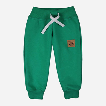 Дитячі спортивні штани для хлопчика Tup Tup PIK9010-5000 86 см Зелені (5901845299480)