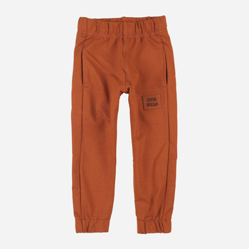 Spodnie dresowe dziecięce dla chłopca Tup Tup PIK4060-4620 104 cm Brązowe (5907744498436)