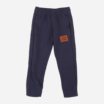 Spodnie dresowe dziecięce dla chłopca Tup Tup PIK4060-3110 104 cm Granatowe (5907744498559)