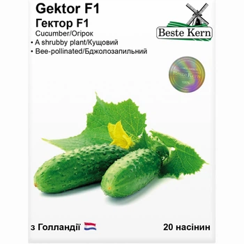 Огірок Гектор F1 20 шт Beste Kern