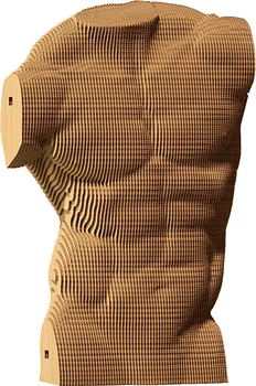 Картонный 3D пазл-конструктор Cartonic 3D Puzzle Torso Male (CARTTORS)