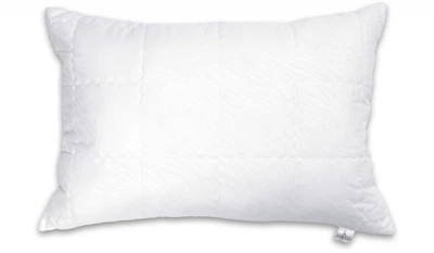 Подушка гипоаллергенная 50х70 White Cloud Arcloud в сумке (3697-43875)