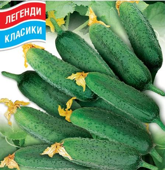 Насіння огірків Воргебірштраубе Сонячний Березень 20 шт