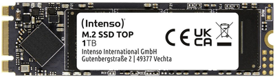 SSD диск Intenso TOP 1TB M.2 SATAIII TLC (3832460)