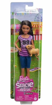 Лялька з аксесуарами Mattel Barbie Stacie Content Ligaya Core Doll 29 см (194735180318)