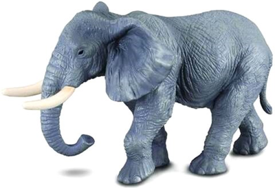 Figurka Collecta African Elephant XL 14 cm (4892900880259)