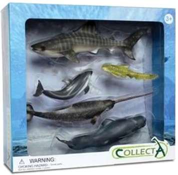 Zestaw figurek Collecta Zwierzęta Morskie 5 szt (4892900896717)