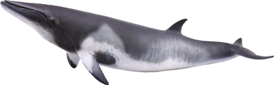 Figurka Collecta Minka Whale XL 20 cm (4892900888620)