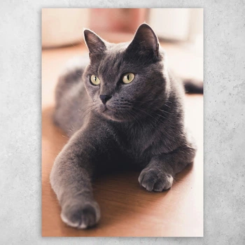 Плакат постер CupKit "Коти" №39 А3 42х29,7 см