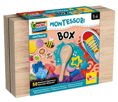 Zestaw kreatywny Lisciani Montessori Work Box (8008324102594)