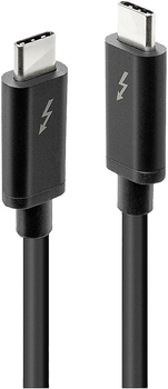 Kabel Lindy USB Type-C - USB Type-C M/M 2 m Black (4002888415576)