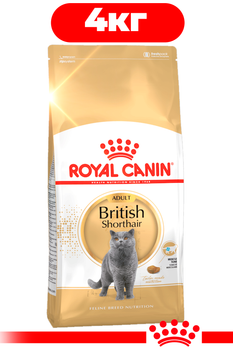 Сухий корм Royal Canin British Shorthair Adult для дорослих котів породи британська короткошерста 4кг
