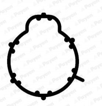 Прокладка колектора впускного Payen JD5804 Mercedes A-Class A1661410080, 1661410080