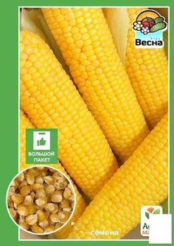 Насіння Кукурудза "Раніше насолода F1" (Великий пакет) ТМ "Agro-Market" 15г (45462)