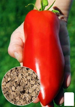 Насіння Томат "Перцеподібний гігант" ТМ "Agro-Market" ціна за 1г (46367)